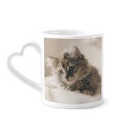 Dıythinker 340 ml Hayvan Kitty Gri Kedi Fotoğrafı Kahve Kupası