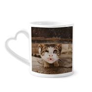 Dıythinker 340 ml Hayvan Komik Kedi Fotoğraf Çekimi Kahve Kupası