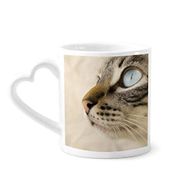 Dıythinker 340 ml Hayvan Mavi Gözlü Kedi Gri Fotoğraf Kahve Kupası