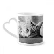 Dıythinker 340 ml Hayvan Saf Gri Kedi Fotoğrafı Resim Kahve Kupası