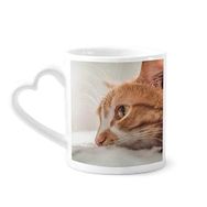 Dıythinker 340 ml Hayvan Saf Kedi Fotoğrafı Resim Kahve Kupası