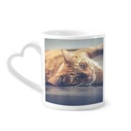 Dıythinker 340 ml Hayvan Sarı Kedi Fotoğrafı Resim Kahve Kupası