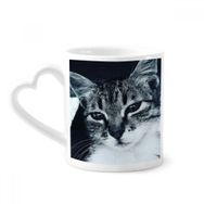 Dıythinker 340 ml Hayvan Serin Gri Kedi Fotoğrafı Kahve Kupası