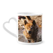 Dıythinker 340 ml Kalp Saplı Japon Köpek Sevimli Hayvan Fotoğrafçılığı Kahve Seramik Kupa