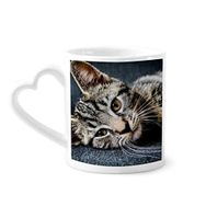 Dıythinker 340 ml Kalp Saplı Kedi Çizgileri Kedi Hayvan Rahatlatıcı Sevimli Kahve Seramik Kupa