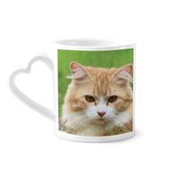 Dıythinker 340 ml Kalp Saplı Sarı Çizgili Kedi Stare Evcil Hayvan Hayvan Kahve Kupaları Seramik Kupa