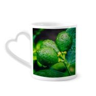 Dıythinker 340 ml Kalp Saplı Taze Meyveler Limon Resim Fotoğrafçılığı Kahve Kupaları Seramik Kupa