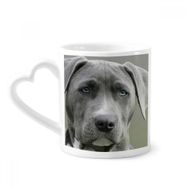Dıythinker 340 ml Kalp Saplı Yakışıklı Köpek Evcil Hayvan Resim Kahve Kupaları Seramik Kupa