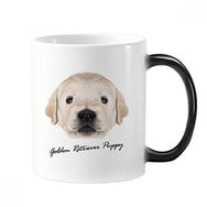 Dıythinker 350 ml Eğitimli Golden Retriever Yavru Köpek Hayvan Renk Kupa