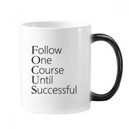 Dıythinker 350 ml Follow Successful Alıntı Renk Kupa