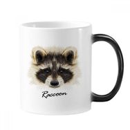 Dıythinker 350 ml Little Mischievousrengi Rakun Hayvan Renk Kupa
