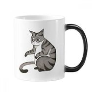 Dıythinker 350 ml Miaoji Boyama Ejderha-Li Suluboya Kedi Değiştiren Renk Kupa