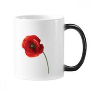 Dıythinker 350 ml Mısır Gelincik Kırmızı Çiçek Sanat Boyama Sadelik Değişen Renk Kupa