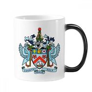 Dıythinker 350 ml Saint Kitts ve Nevis Ulusal Amblem Değişen Renk Kupa