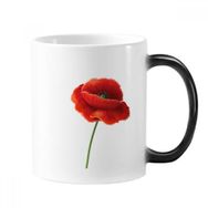 Dıythinker 350 ml Simplicity Kırmızı Çiçek Sanat Boyama Mısır Gelincik Renk Kupa