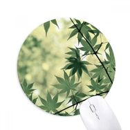 Dıythinker Akçaağaç Yaprağı Bitki Resmi Doğa Baskılı Yuvarlak Kaymaz Kauçuk Mouse Pad