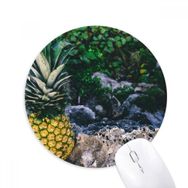 Dıythinker Ananas Yaprağı Bitki Resmi Doğa Baskılı Yuvarlak Kaymaz Kauçuk Mouse Pad