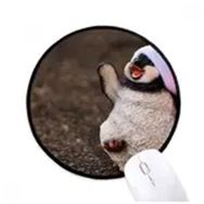 Dıythinker Antarktika Penguen Noel Şapkası Doğa Yuvarlak Kaymaz Mouse Pad