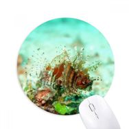 Dıythinker Aslan Balığı Okyanus Deniz Deniz Organizma Baskılı Yuvarlak Kaymaz Kauçuk Mouse Pad