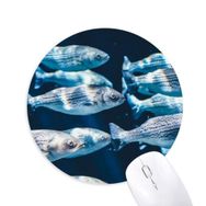 Dıythinker Balık Hayvan Deniz Organizma Tropikal Baskılı Yuvarlak Kaymaz Kauçuk Mouse Pad
