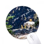 Dıythinker Beyaz Ayı Orman Bilim Doğa Baskılı Yuvarlak Kaymaz Kauçuk Mouse Pad