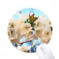 Dıythinker Beyaz Çiçekler Güzel Gül Baskılı Yuvarlak Kaymaz Kauçuk Mouse Pad
