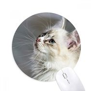 Dıythinker Beyaz Evcil Hayvan Kedi Hayvan Profili Sevimli Baskılı Yuvarlak Kaymaz Kauçuk Mouse Pad