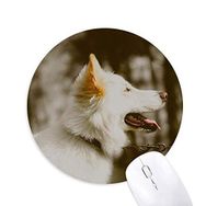 Dıythinker Beyaz Köpek Evcil Hayvan Fotoğraf Baskılı Yuvarlak Kaymaz Kauçuk Mouse Pad