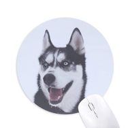Dıythinker Big Dog Snow Husky Resim Baskılı Yuvarlak Kaymaz Kauçuk Mouse Pad