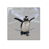 Dıythinker Bilim Doğa Okyanus Antarktik Penguen Oluklu 20x20 cm Seramik Karo