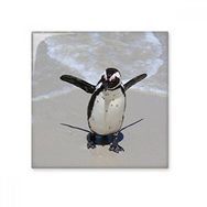 Dıythinker Bilim Doğa Okyanus Antarktik Penguen Oluklu Seramik 10x10 cm Seramik Karo
