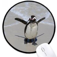 Dıythinker Bilim Doğa Okyanus Antarktika Penguen Yaratık Yuvarlak Kaymaz Mouse Pad
