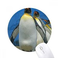 Dıythinker Birçok Antarktik Penguenler Doğa Bilimi Resim Baskılı Yuvarlak Kaymaz Kauçuk Mouse Pad