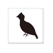 Dıythinker Black Grouse Hayvan Portrayal 15x15 cm Seramik Karo