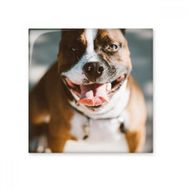 Dıythinker Bulldog Evcil Hayvan Korkunç Resim Parlak 10x10 cm Seramik Karo