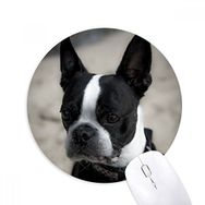 Dıythinker Bulldog Evcil Hayvan Koyu Resim Baskılı Yuvarlak Kaymaz Kauçuk Mouse Pad
