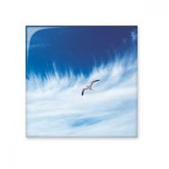 Dıythinker Bulutlar Kuş Mavi Gökyüzü 20x20 cm Seramik Karo