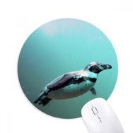 Dıythinker Deniz Antarktik Penguen Yaratık Bilim Doğa Baskılı Yuvarlak Kaymaz Kauçuk Mouse Pad