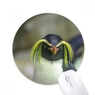 Dıythinker Deniz Bilimi Doğa Antarktik Penguen Resim Baskılı Yuvarlak Kaymaz Kauçuk Mouse Pad
