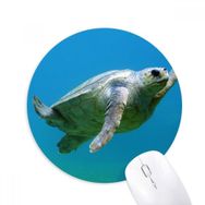 Dıythinker Deniz Organizma Kaplumbağa Okyanus Hayvan Baskılı Yuvarlak Kaymaz Kauçuk Mouse Pad