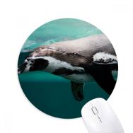Dıythinker Deniz Organizması Balina Hayvan Resmi Baskılı Yuvarlak Kaymaz Kauçuk Mouse Pad