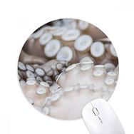 Dıythinker Deniz Organizması Kalamar Dokunaç Hayvan Baskılı Yuvarlak Kaymaz Kauçuk Mouse Pad