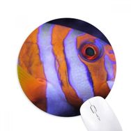 Dıythinker Deniz Organizması Tropikal Balık Hayvan Baskılı Yuvarlak Kaymaz Kauçuk Mouse Pad