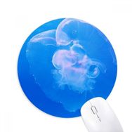 Dıythinker Denizanası Okyanus Mavi Su Bilimi Doğa Baskılı Yuvarlak Kaymaz Kauçuk Mouse Pad