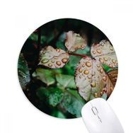 Dıythinker Dewdrop Yaprak Bitki Resmi Doğa Baskılı Yuvarlak Kaymaz Kauçuk Mouse Pad