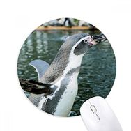 Dıythinker Doğa Antarktik Penguen Bilim Resmi Baskılı Yuvarlak Kaymaz Kauçuk Mouse Pad