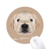 Dıythinker Eğitimli Golden Retriever Köpek Hayvan Baskılı Yuvarlak Kaymaz Kauçuk Mouse Pad