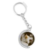 Diythinker Erkek Beyaz Köpek Evcil Hayvan Fotoğraf Döndürülebilir Çok Renkli 3x9 cm Anahtarlık