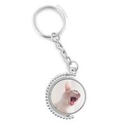 Diythinker Erkek Hayvan Beyaz Şiddetli Kedi Fotoğrafı Döndürülebilir Çok Renkli 3x9 cm Anahtarlık
