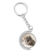 Diythinker Erkek Hayvan Kitty Gri Kedi Fotoğrafı Döndürülebilir Çok Renkli 3x9 cm Anahtarlık